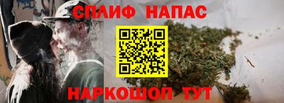 прущие грибы Ливны