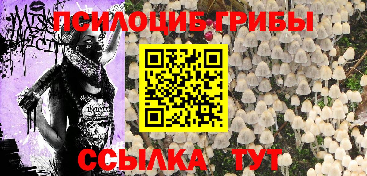 Галлюциногенные грибы MAGIC MUSHROOMS  Вход с VPN  Галлюциногенные грибы Cubensis  Железноводск 
